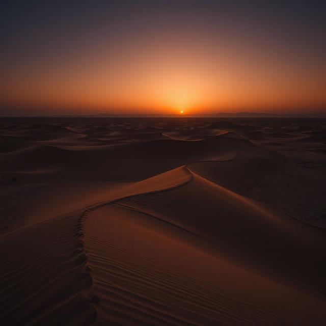 Empty Quarter
